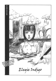 Elegie Indigo